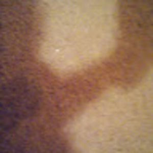 Meet your Posher, Lisa marie